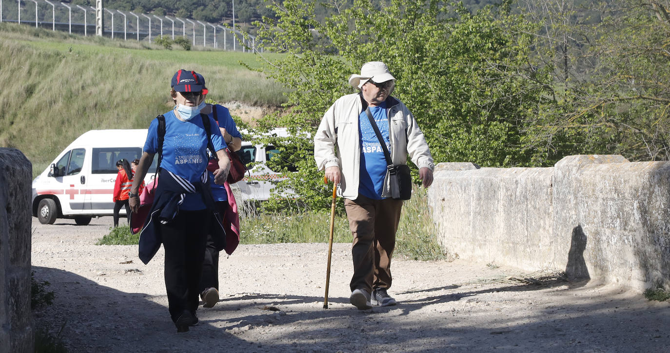 Fotos: La Marcha de Aspanis de Palencia en imágenes