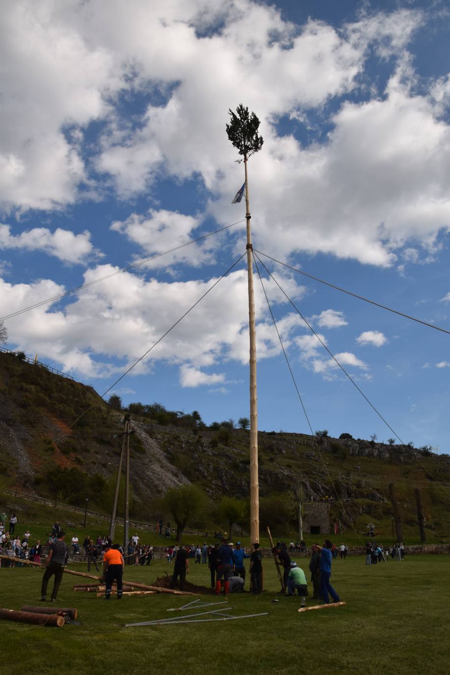 Fotos: Velilla recupera la &#039;Pinada del Mayo&#039;
