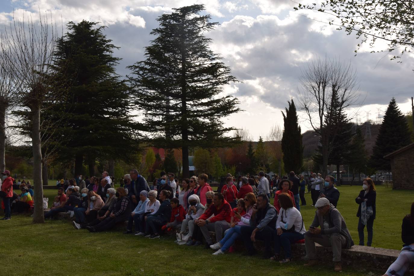 Fotos: Velilla recupera la &#039;Pinada del Mayo&#039;