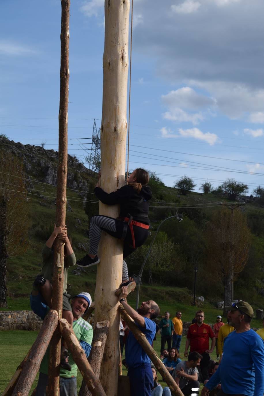 Fotos: Velilla recupera la &#039;Pinada del Mayo&#039;