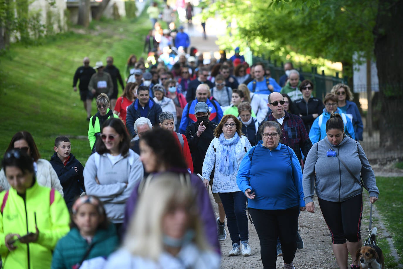 Fotos: 45 Marcha Asprona en Valladolid (5/5)