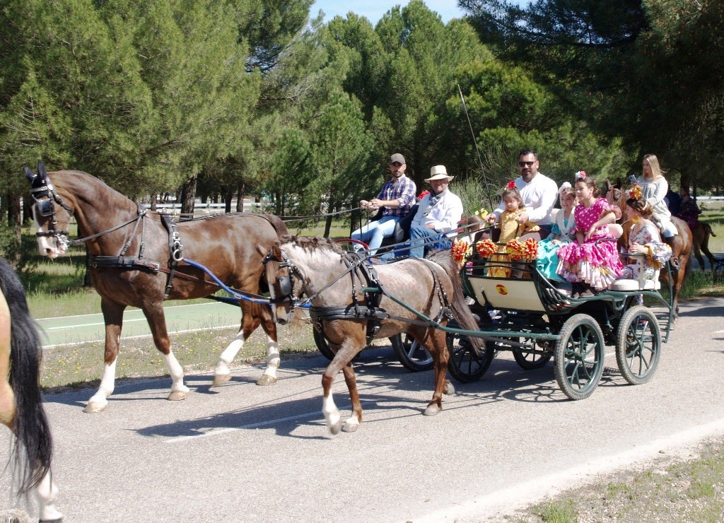Fotos: XVI romería flamenca El Lerele en Pedrajas de San Esteban