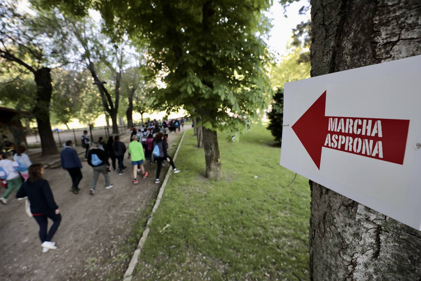 Fotos: 45 Marcha Asprona en Valladolid (9/9)