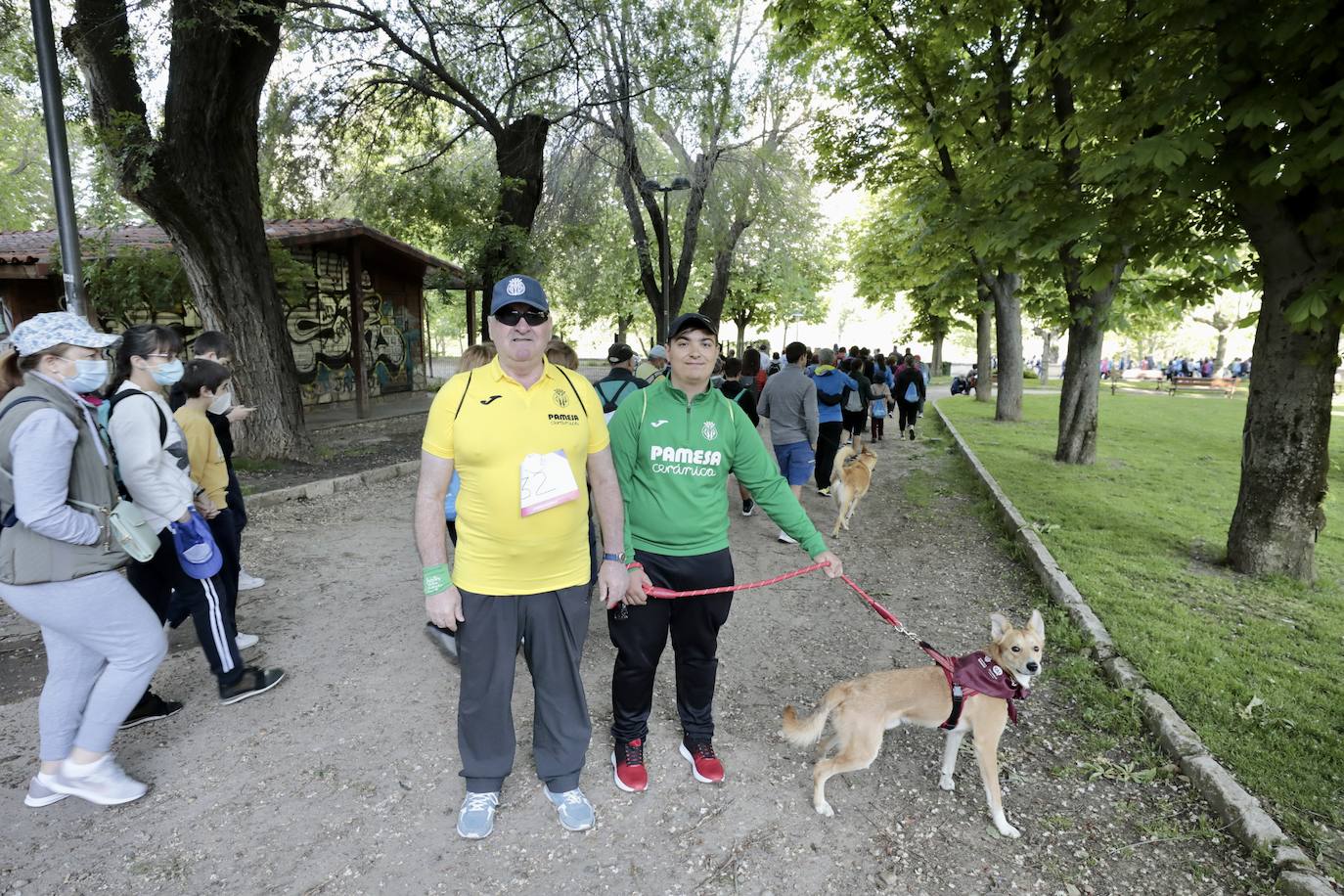 Fotos: 45 Marcha Asprona en Valladolid (9/9)