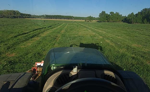 El agricultor vallisoletano Adolfo Galván, siega una pradera. 