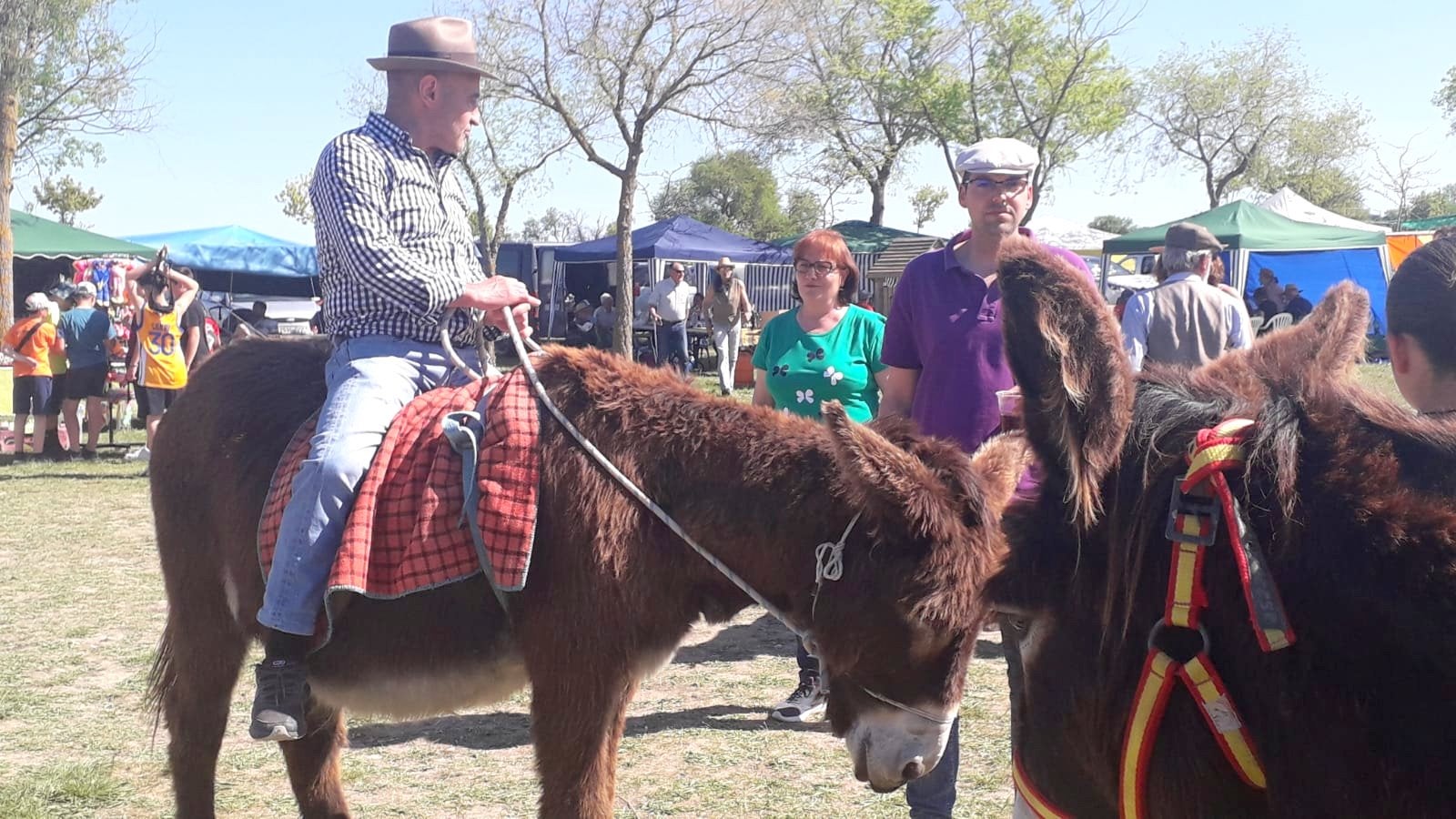 Fotos: Baltanás celebra sus Fiestas Patronales en honor a San Gregorio