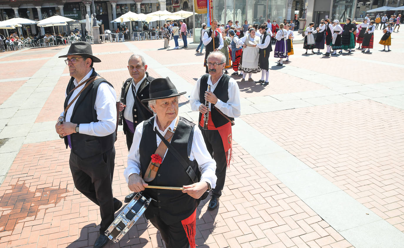 Fotos: Bailes regionales en la Plaza Mayor de Valladolid