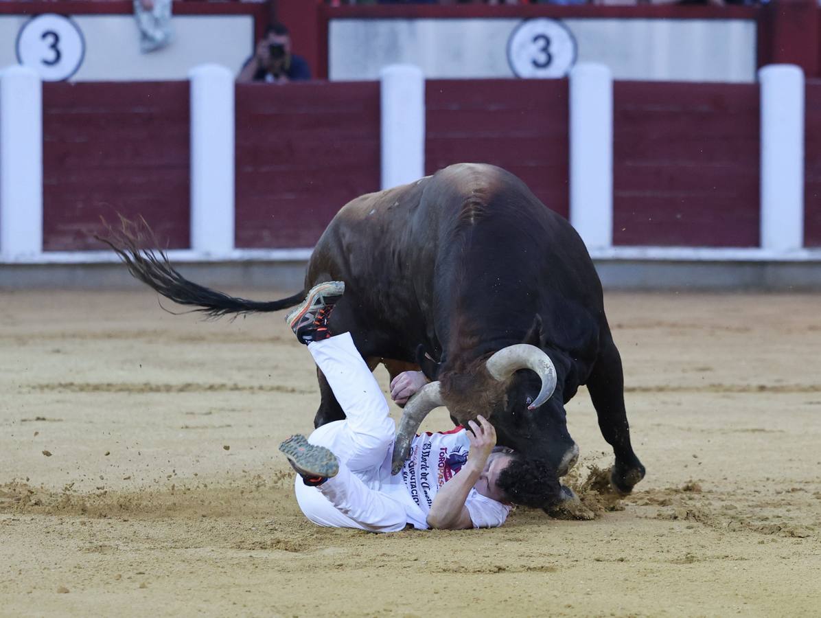 Fotos: Los cortes vuelven a la plaza de toros de Valladolid (1/2)