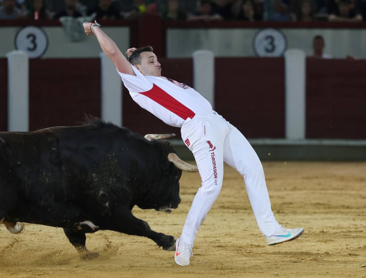 Fotos: Los cortes vuelven a la plaza de toros de Valladolid (2/2)