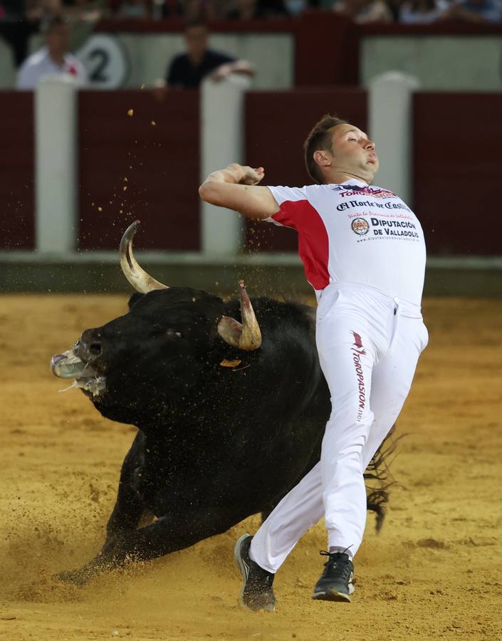 Fotos: Los cortes vuelven a la plaza de toros de Valladolid (2/2)