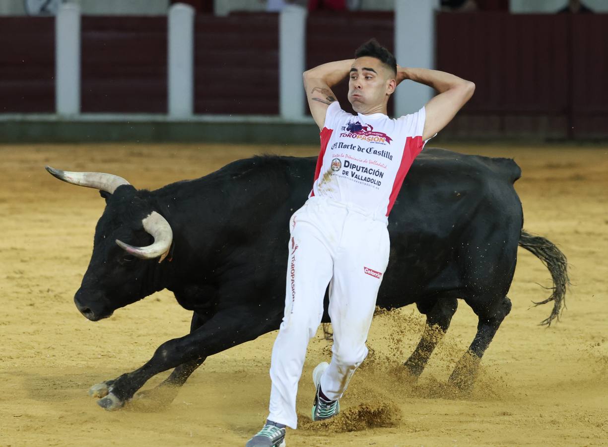 Fotos: Los cortes vuelven a la plaza de toros de Valladolid (2/2)