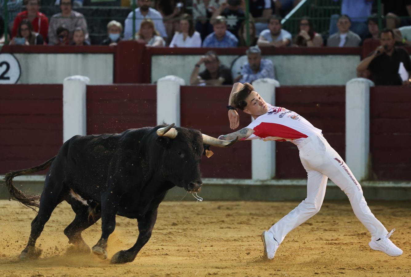 Fotos: Los cortes vuelven a la plaza de toros de Valladolid (2/2)