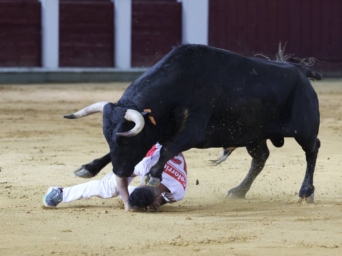 Fotos: Los cortes vuelven a la plaza de toros de Valladolid (2/2)