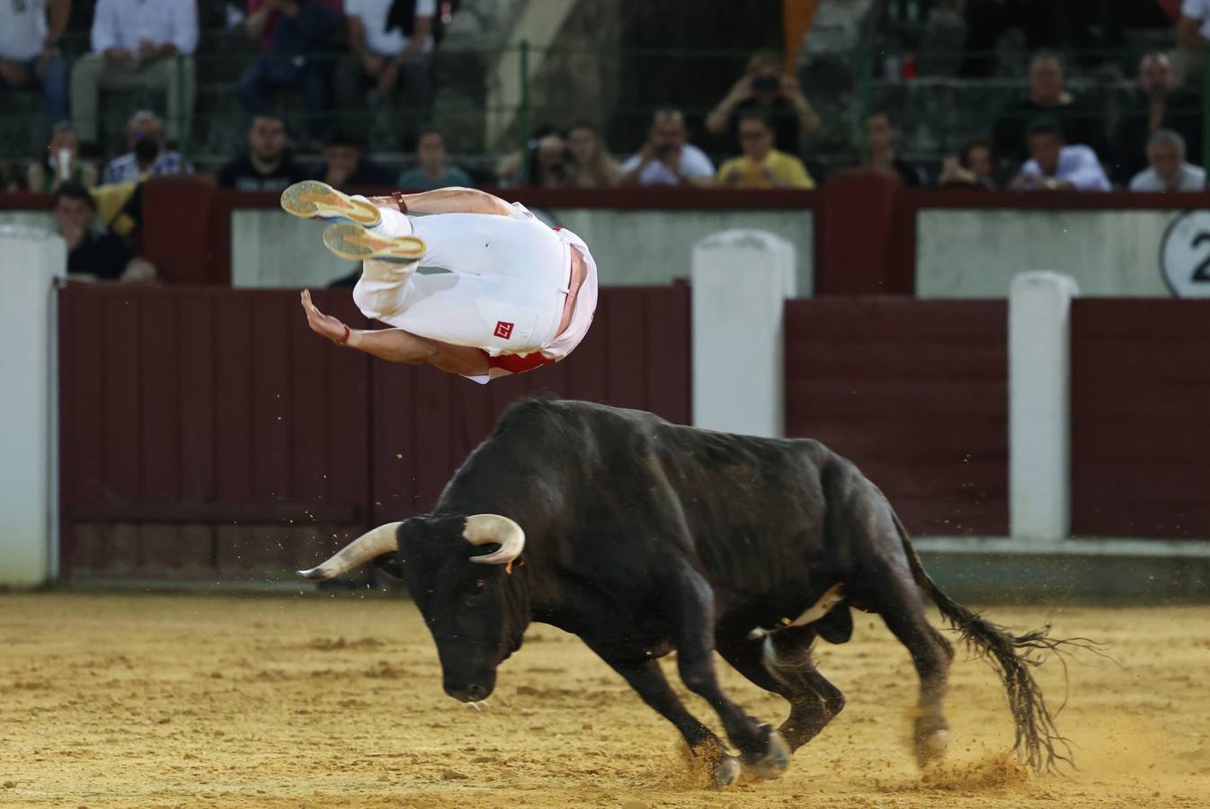 Fotos: Los cortes vuelven a la plaza de toros de Valladolid (2/2)