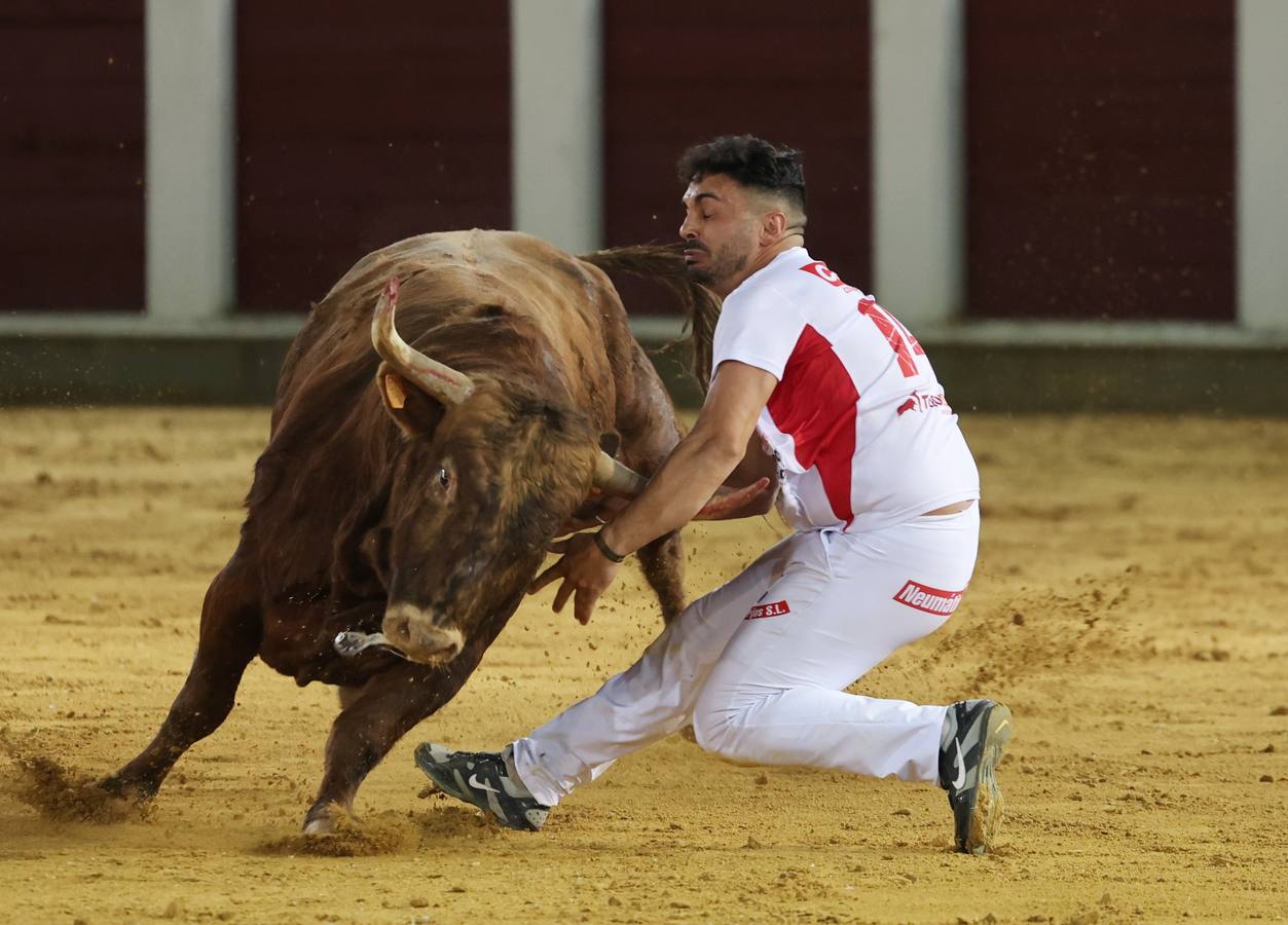 Fotos: Los cortes vuelven a la plaza de toros de Valladolid (2/2)