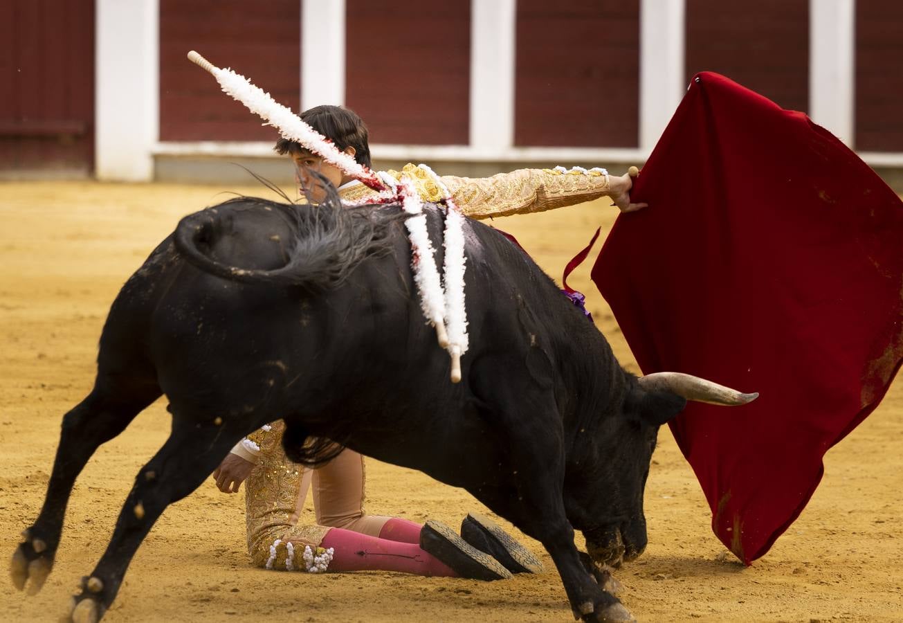 Fotos: Roca Rey y Tomás Rufo abren la puerta grande en Valladolid (1/3)