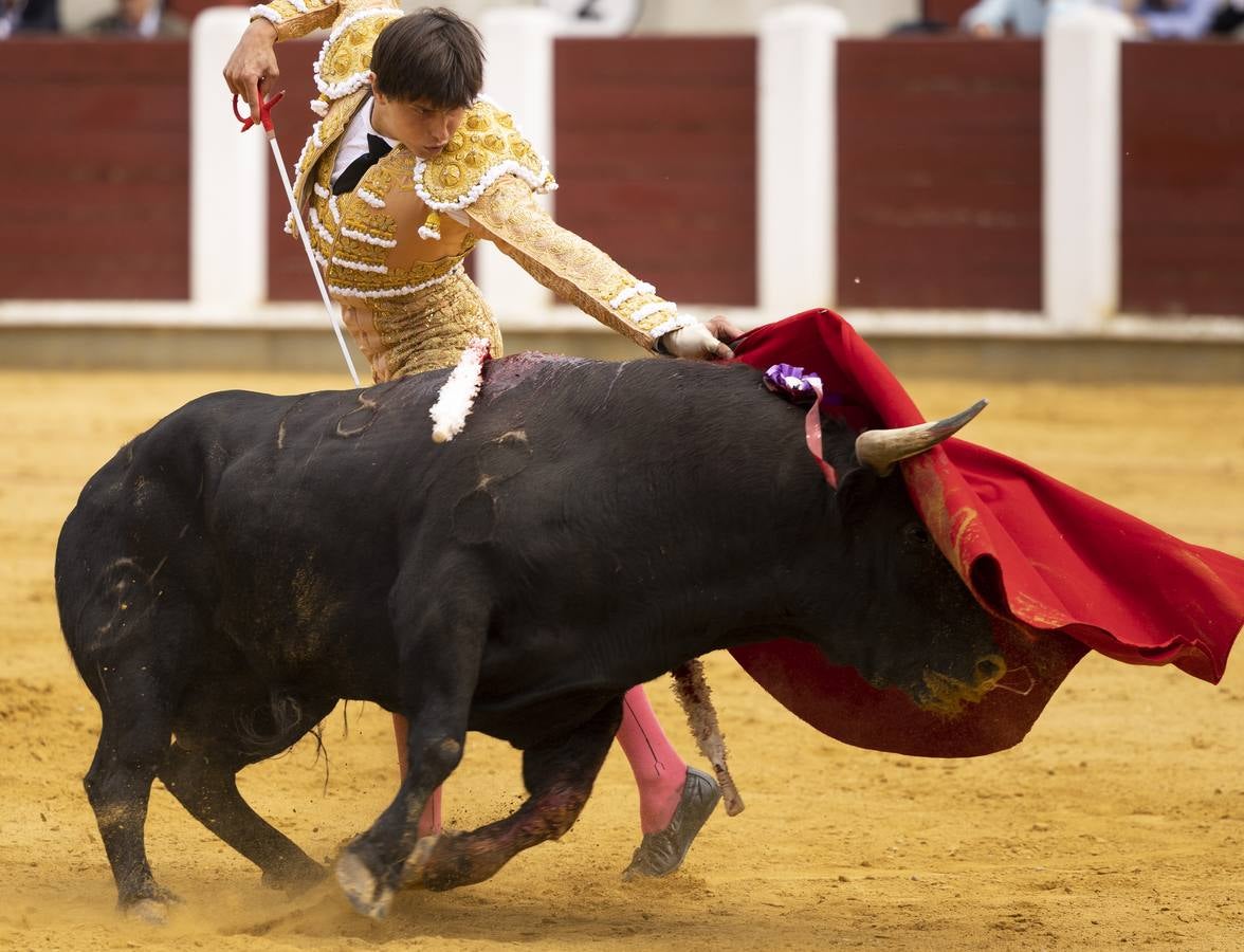 Fotos: Roca Rey y Tomás Rufo abren la puerta grande en Valladolid (1/3)