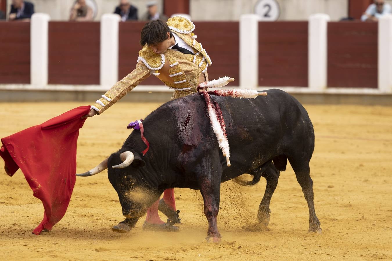 Fotos: Roca Rey y Tomás Rufo abren la puerta grande en Valladolid (1/3)