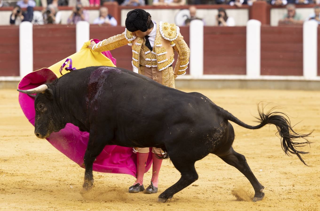 Fotos: Roca Rey y Tomás Rufo abren la puerta grande en Valladolid (2/3)