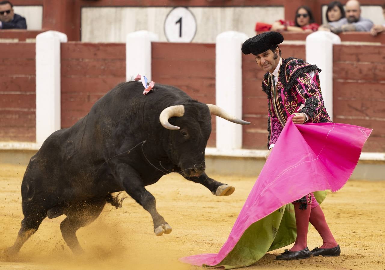 Fotos: Roca Rey y Tomás Rufo abren la puerta grande en Valladolid (3/3)