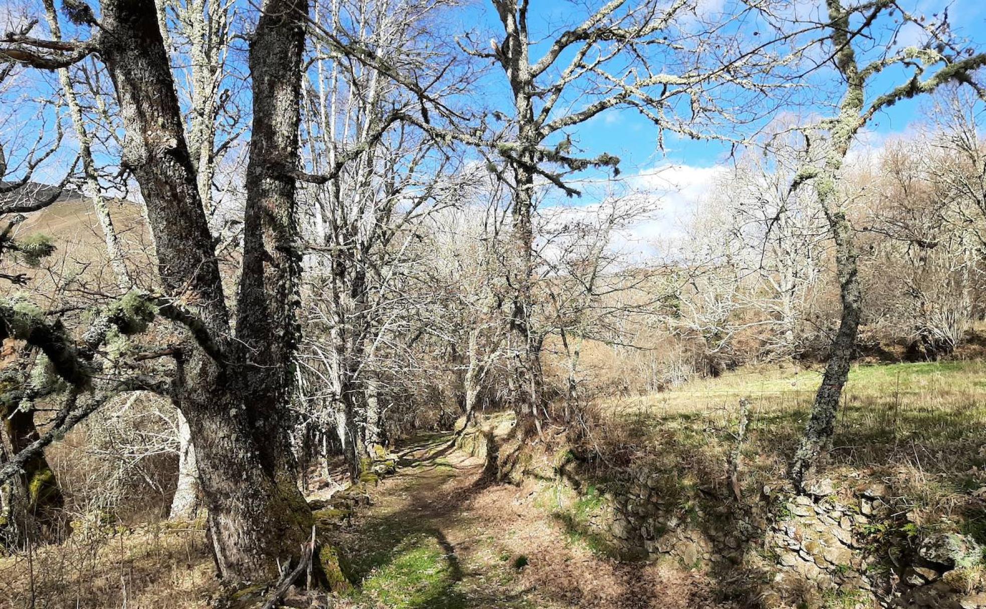Lubián: parada obligada en el Camino a Santiago