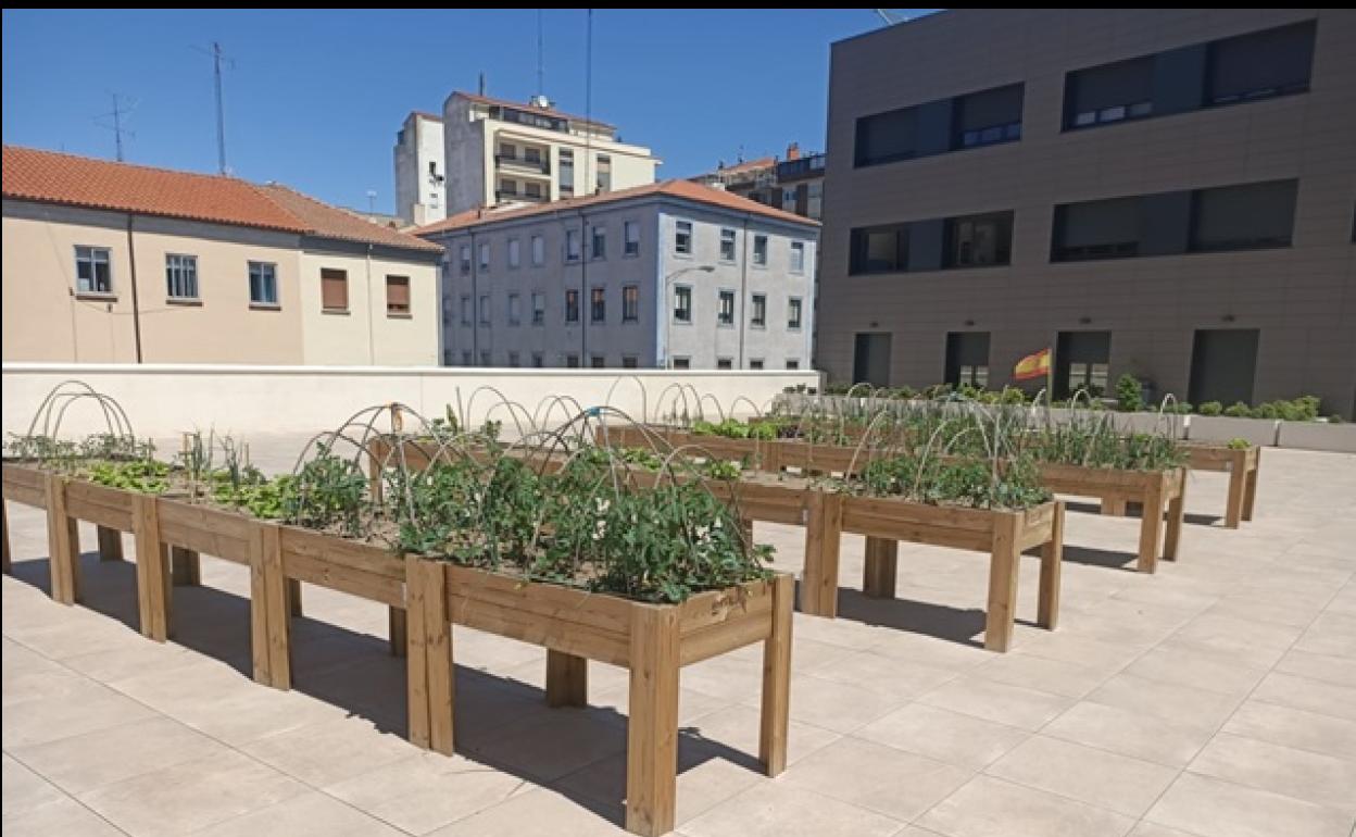 Habilitadas mesas de cultivo para los inquilinos del Centro de Convivencia Victoria Adrados