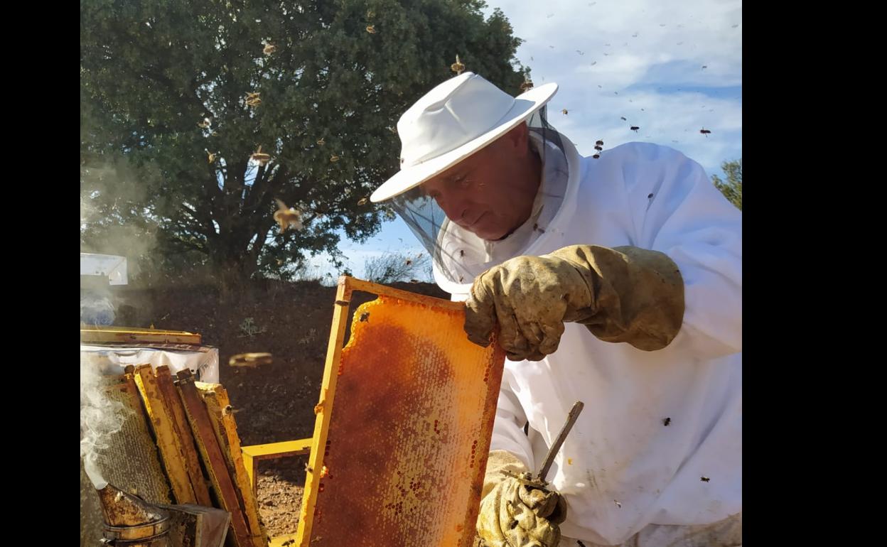 Un apicultor trabaja en sus colmenas. 