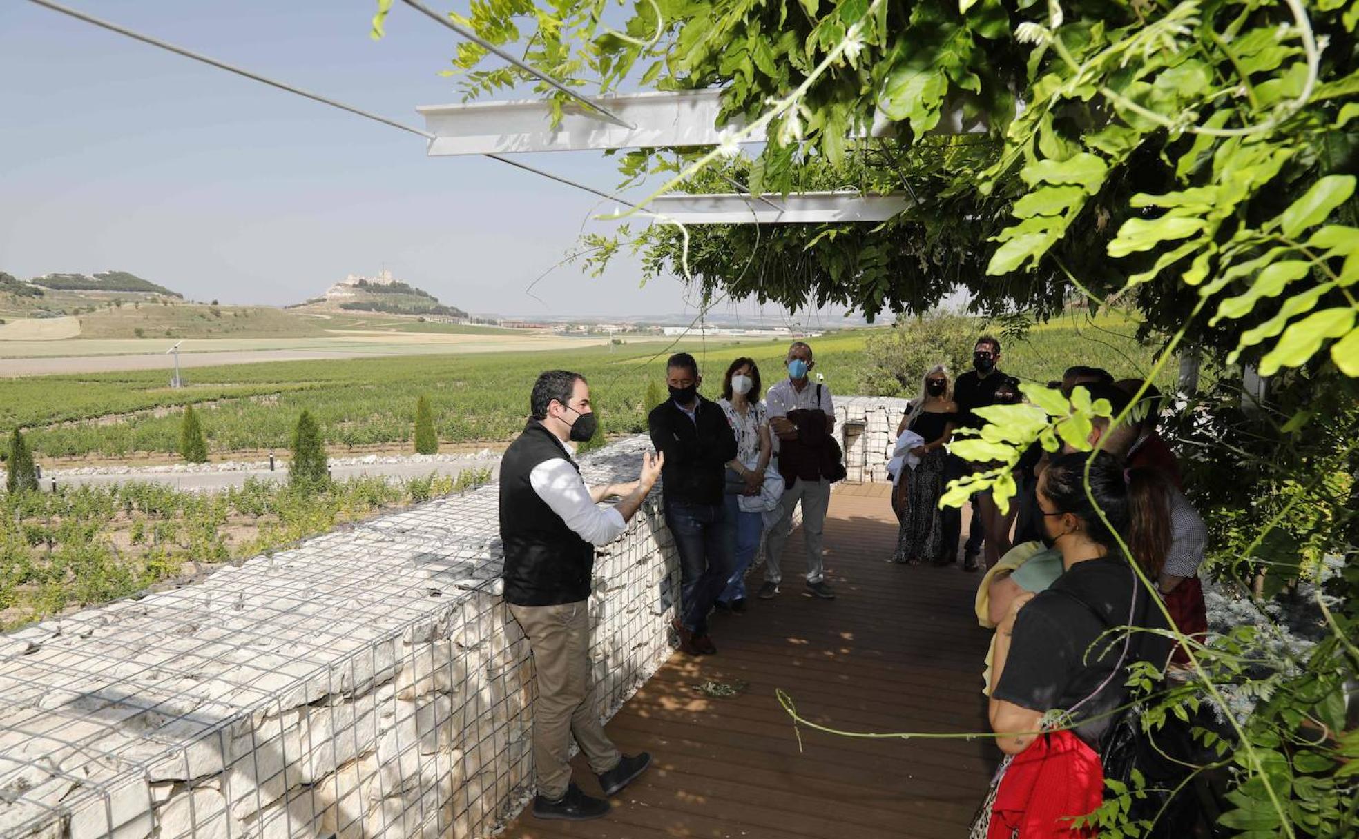 Enoturistas extranjeros en la bodega Pago de Carrovejas en Peñafiel.