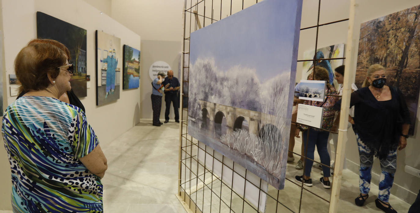 Fotos: La mirada sobre Palencia de los lienzos de la UPP