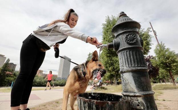 Una joven ayuda a su perro a combatir el calorde estos días en Valladolid. 