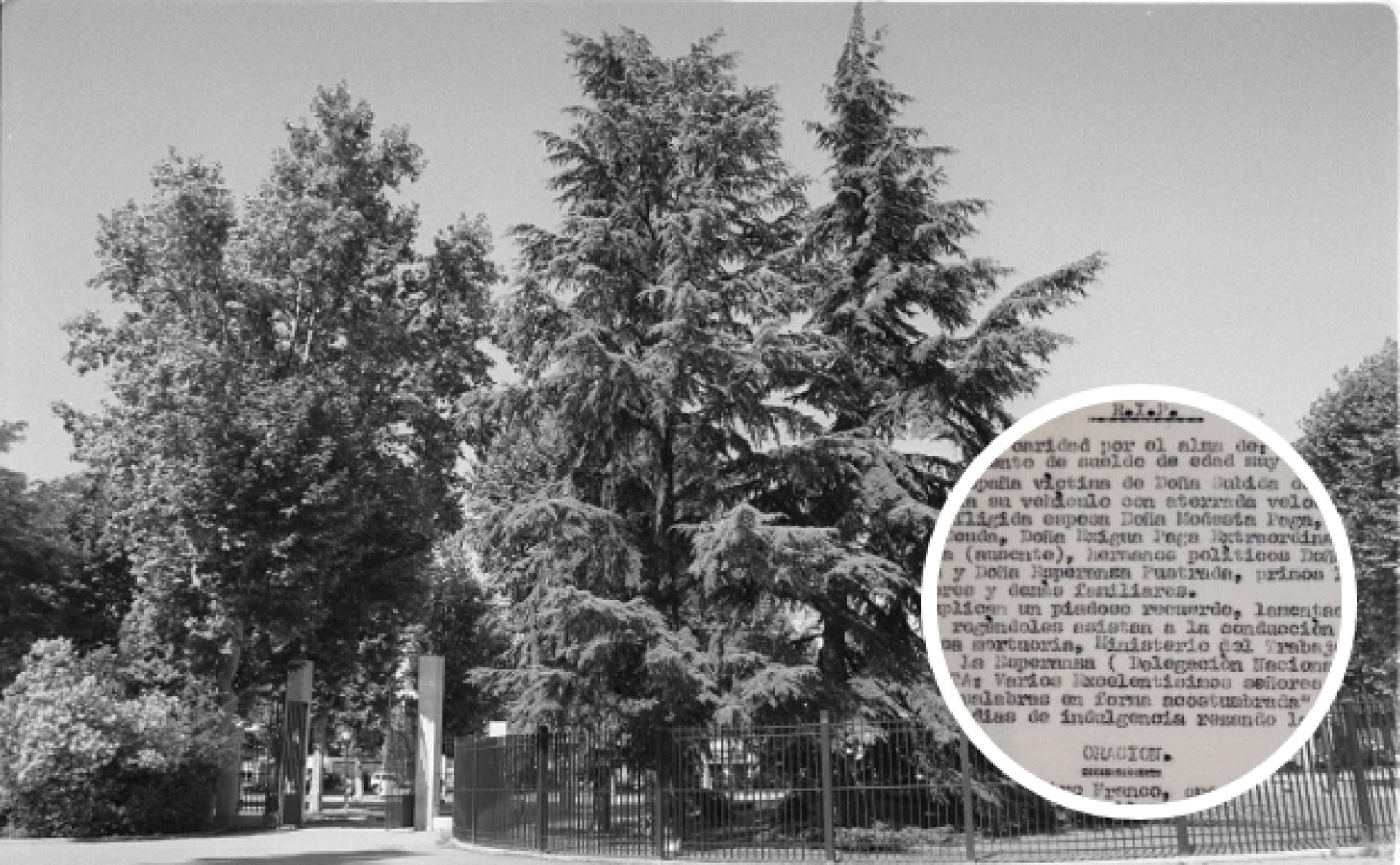 Imagen antigua del Campo Grande. En detalle, la hoja clandestina contra la política económica de Franco hallada en un banco. 