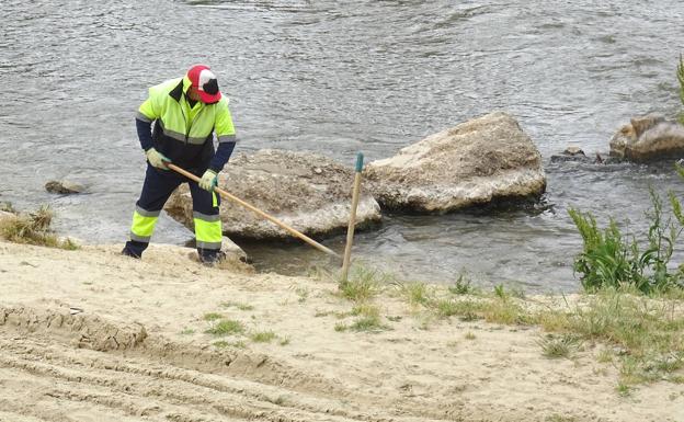 Un operario desbroza a mano el perímetro de la playa. 