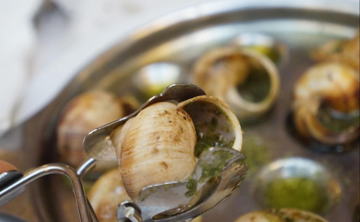 Receta de caracoles, un plato popular que requiere de un buen sofrito