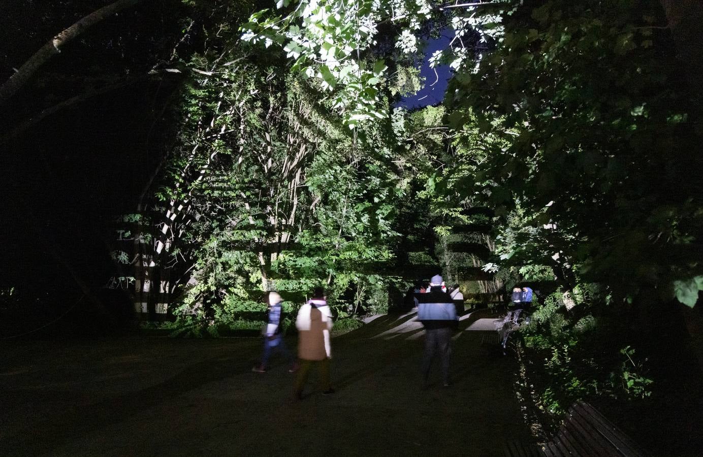 Fotos: Jornada del jueves por la tarde en el Festival de Teatro de Calle de Valladolid (2/2)