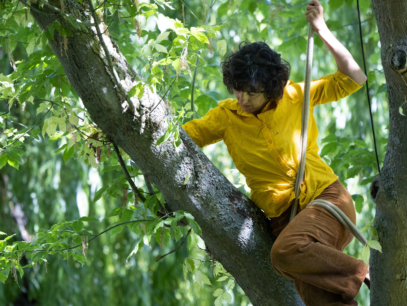 Fotos: Espectáculos de la mañana del sábado en el TAC de Valladolid (1/2)