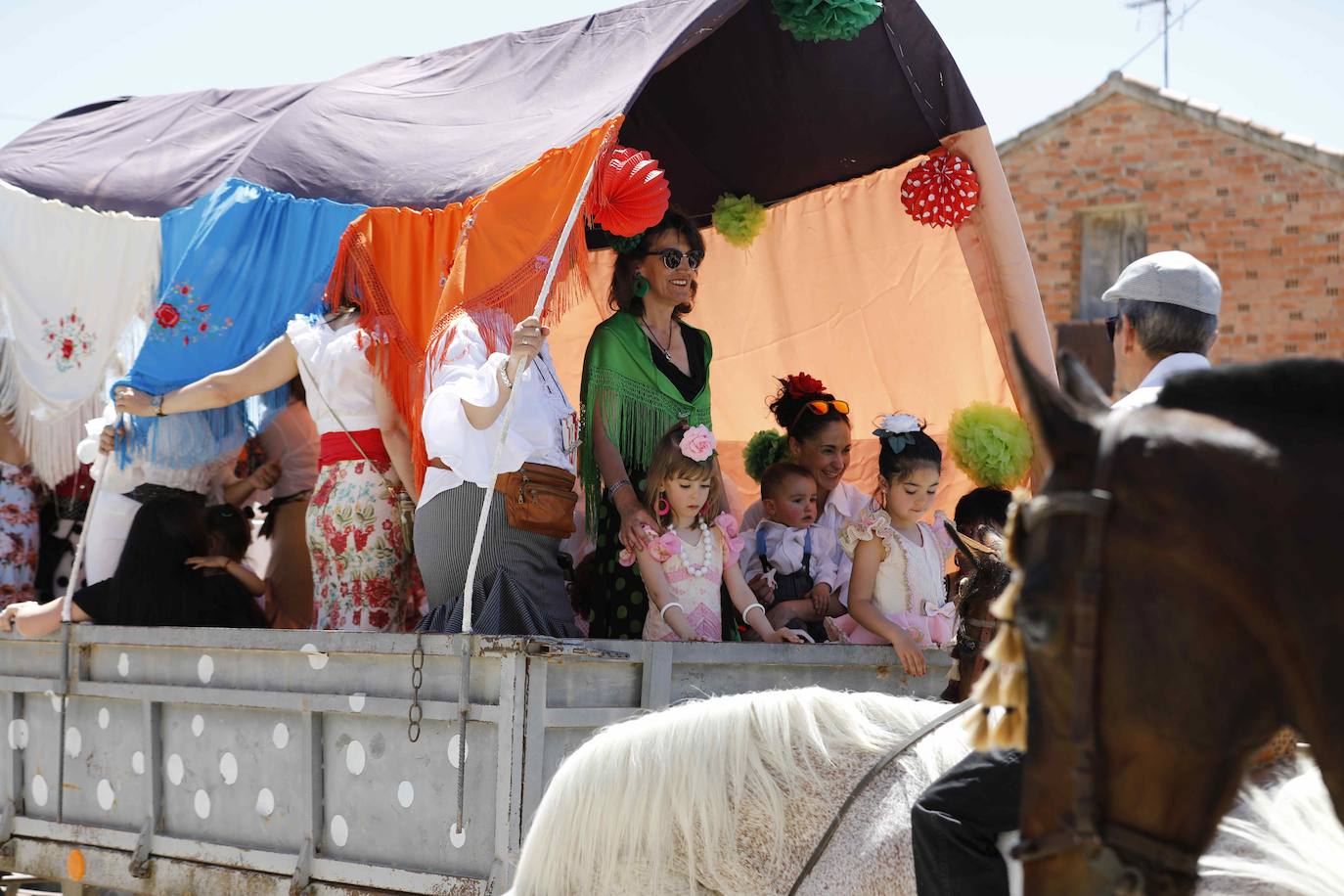 Fotos: Fiesta del caballo en Langayo, Valladolid (2/2)