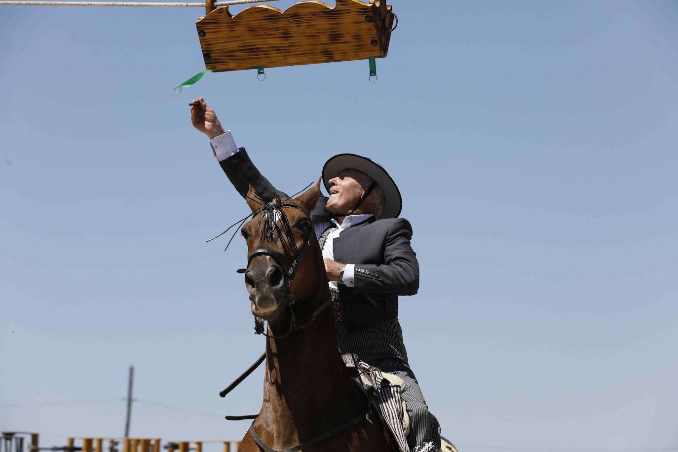 Fotos: Fiesta del caballo en Langayo, Valladolid (2/2)