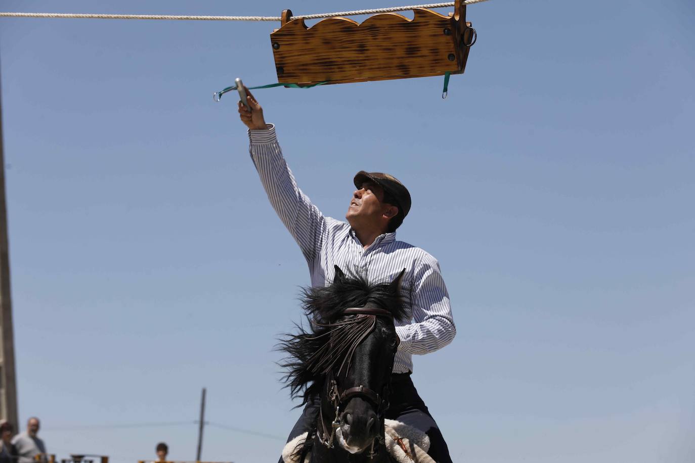 Fotos: Fiesta del caballo en Langayo, Valladolid (2/2)