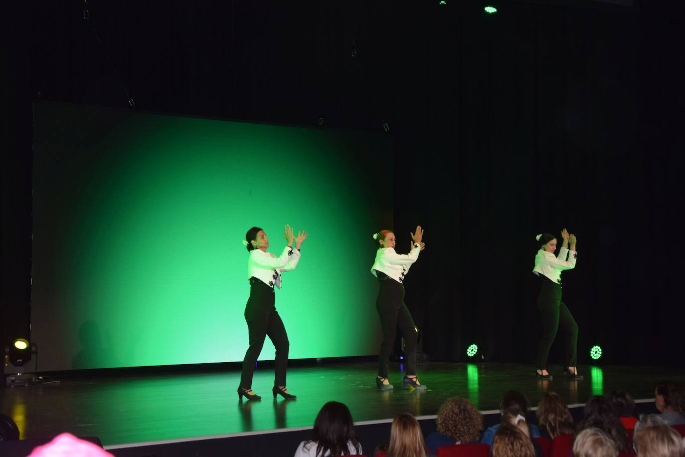 Fotos: Joaquín Cortes protagoniza la fiesta de la danza en Guardo