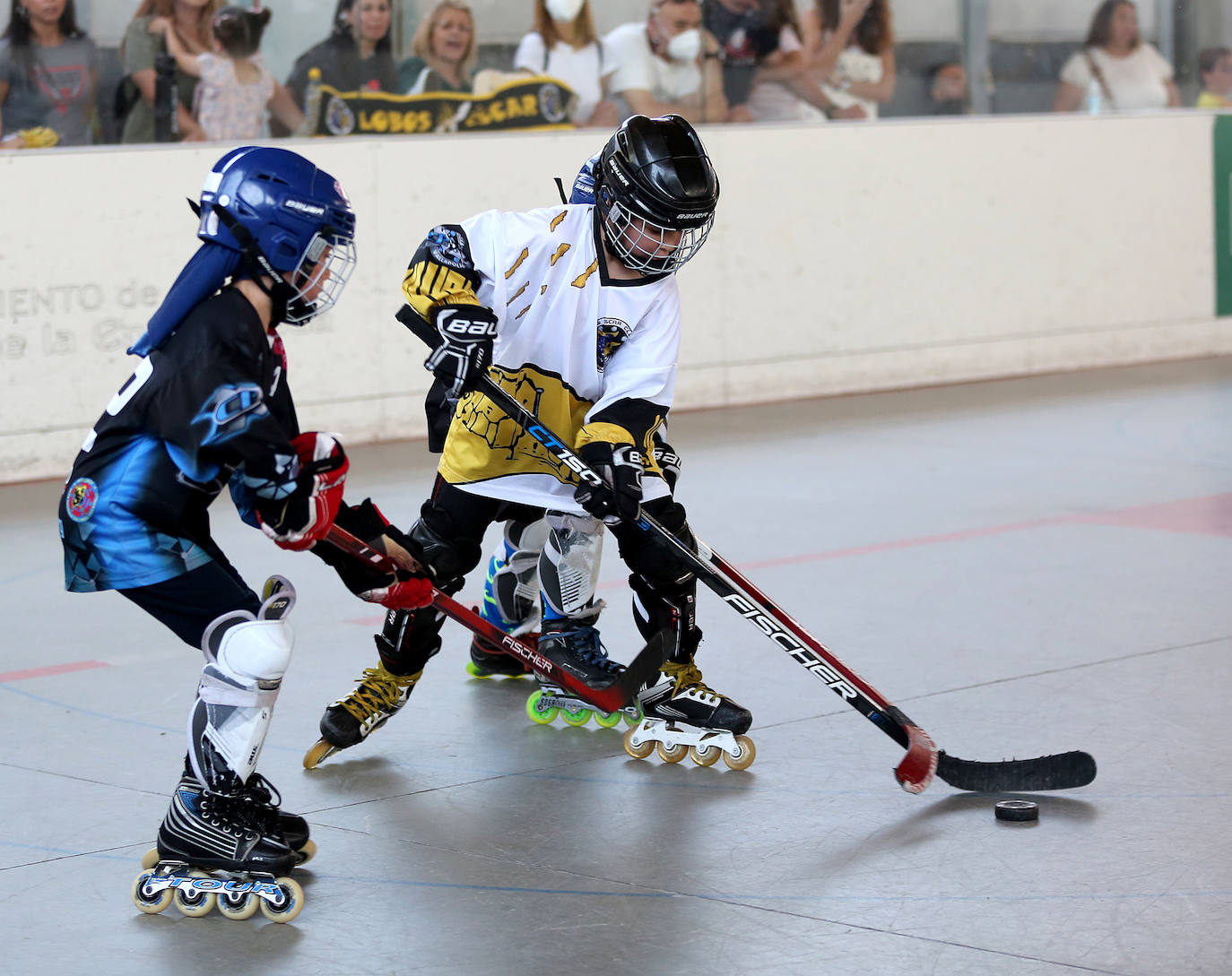 Fotos: La Liga Escolar de Hockey Línea, en imágenes