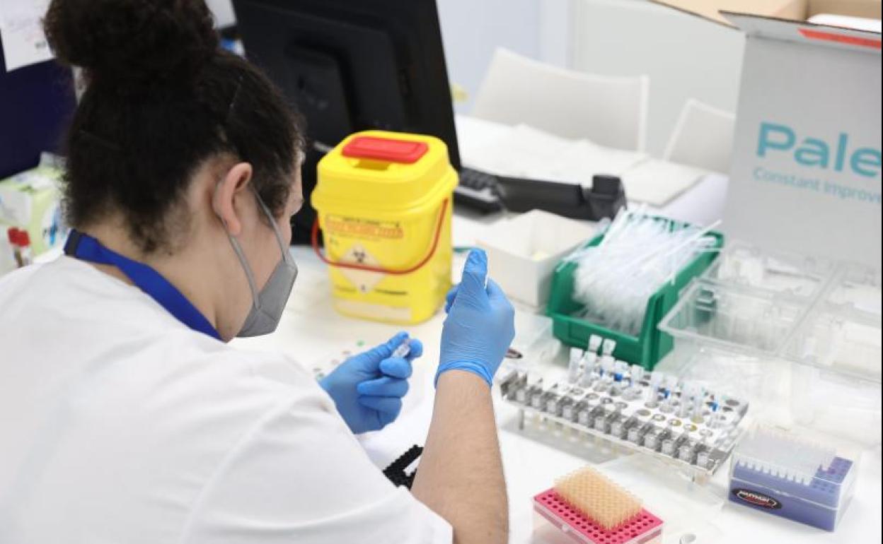 Pruebas PCR para la viruela del mono.