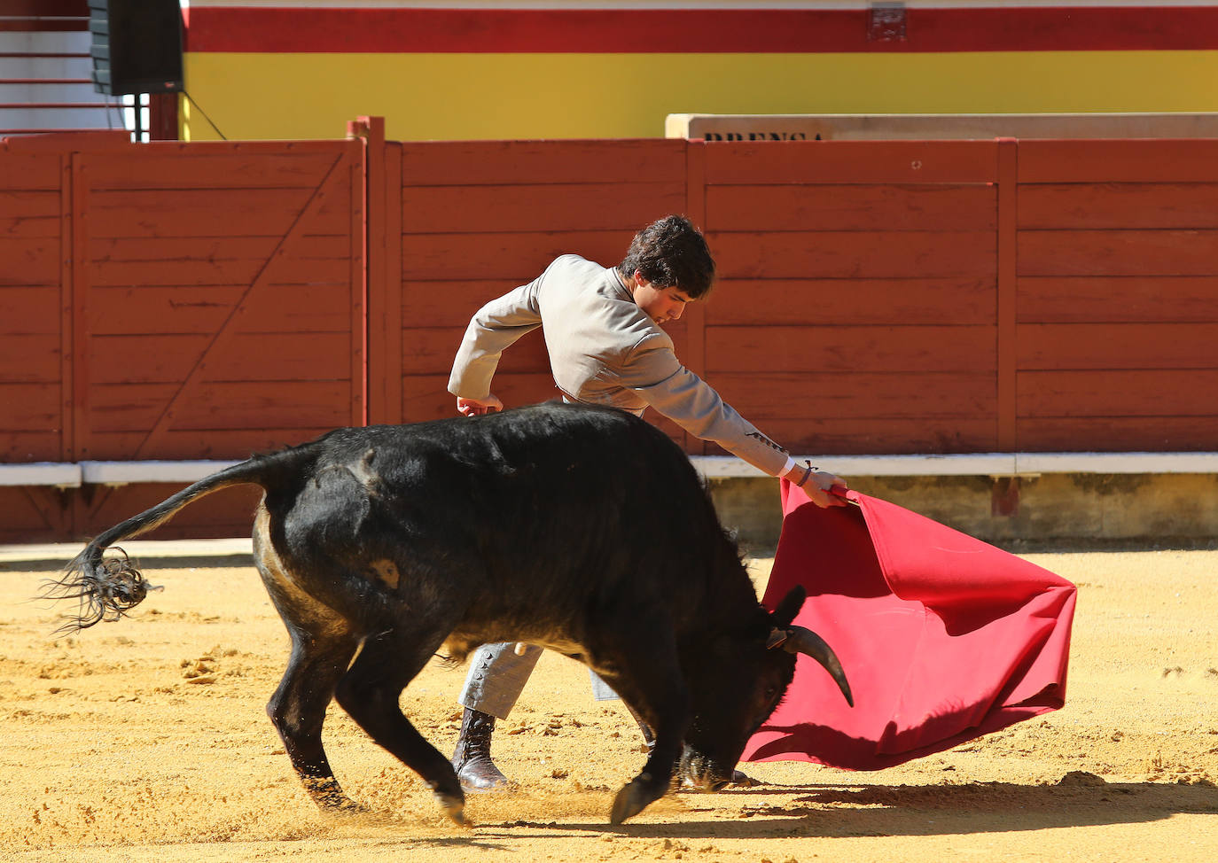 Fotos: La Feria Chica se hace grande en Palencia