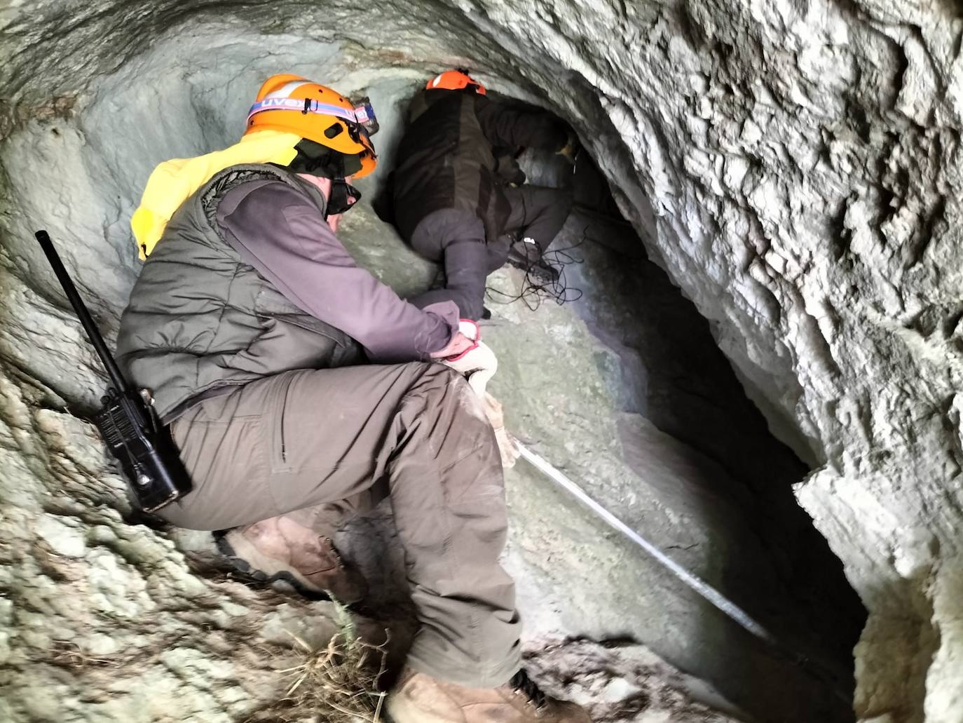 La osa herida en el ataque está viva en el interior de una cueva junto al osezno