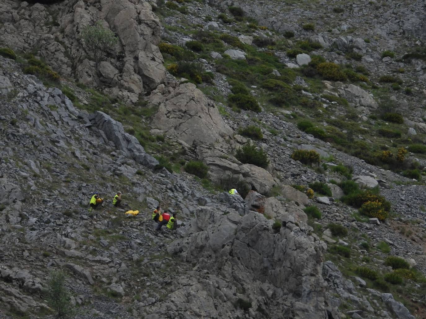 Fotos: Así cuidan a la osa herida en el ataque en la cueva de la Montaña Palentina