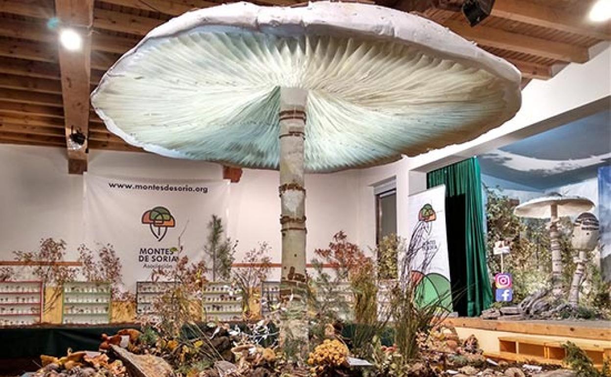 Exposición de Montes de Soria
