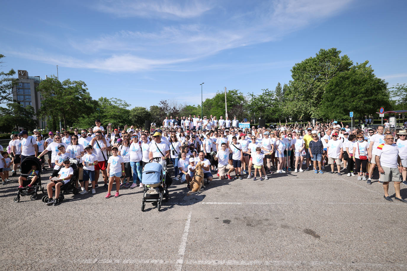 Fotos: La Marcha de la Diabetes tiñe de azul las calles de Valladolid