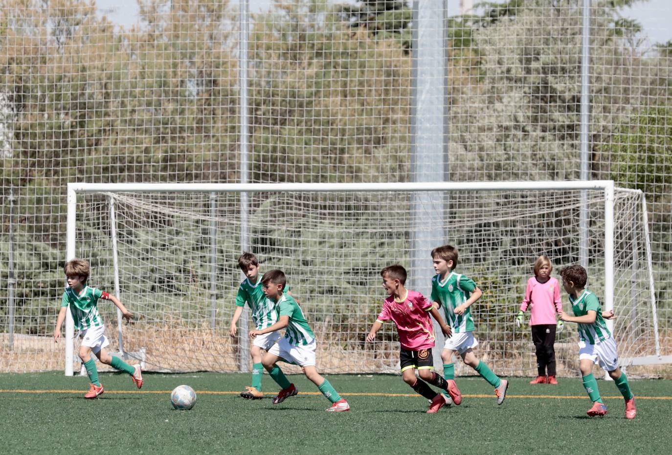 Fotos: El fútbol benjamín de Valladolid se enfrenta en la VIII Betis Cup 2022