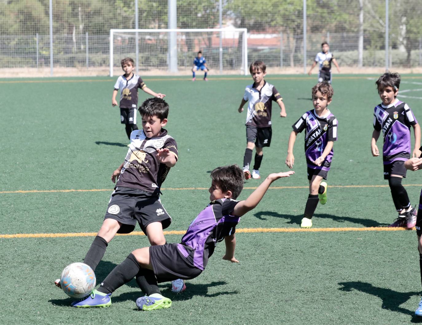 Fotos: El fútbol benjamín de Valladolid se enfrenta en la VIII Betis Cup 2022