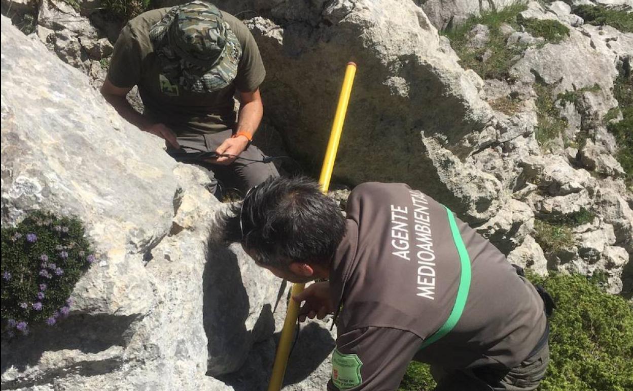 Agentes medioambientales de la Junta en el entorno de la cueva. 