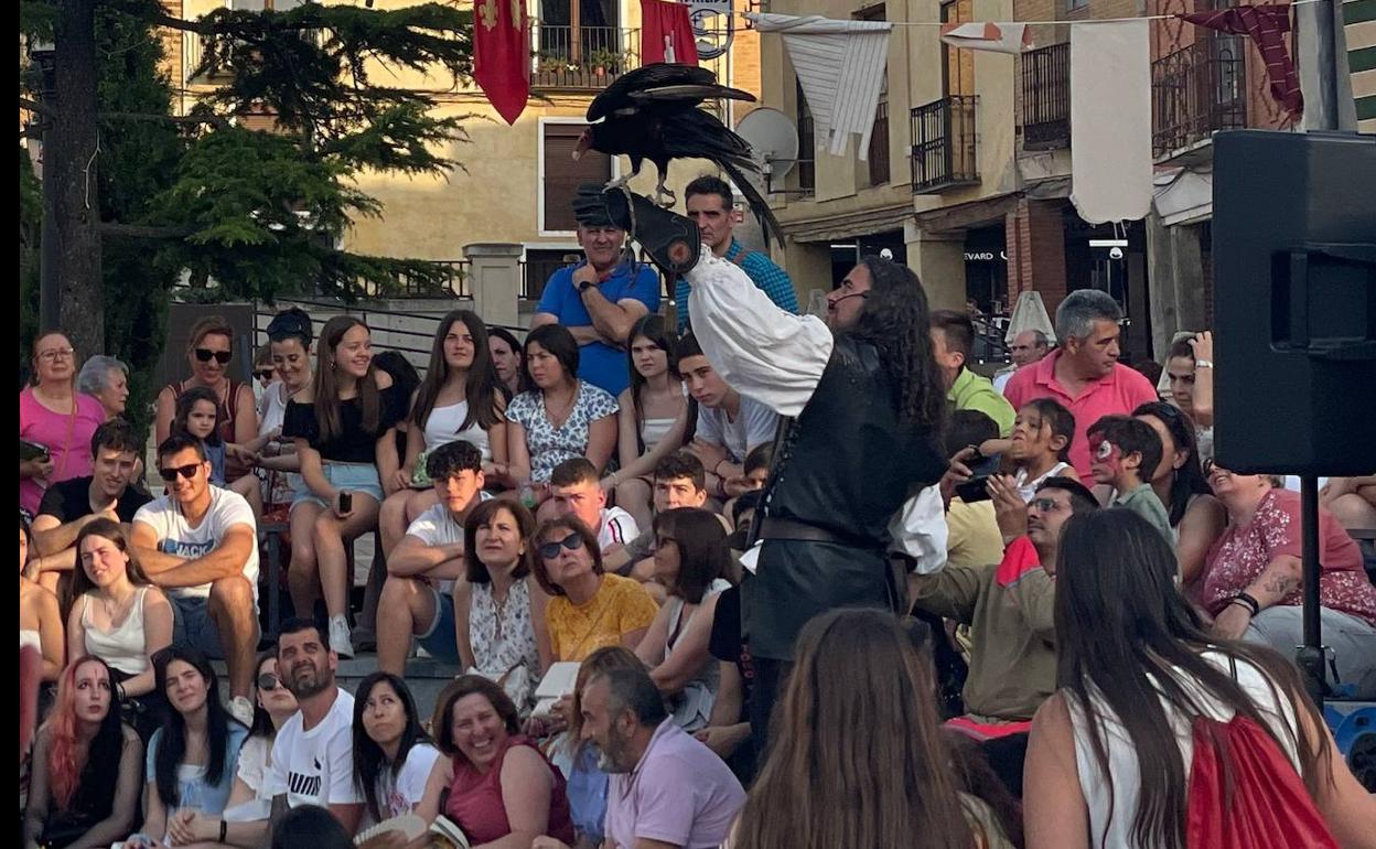 Exhibición de cetrería en la tarde del domingo. 